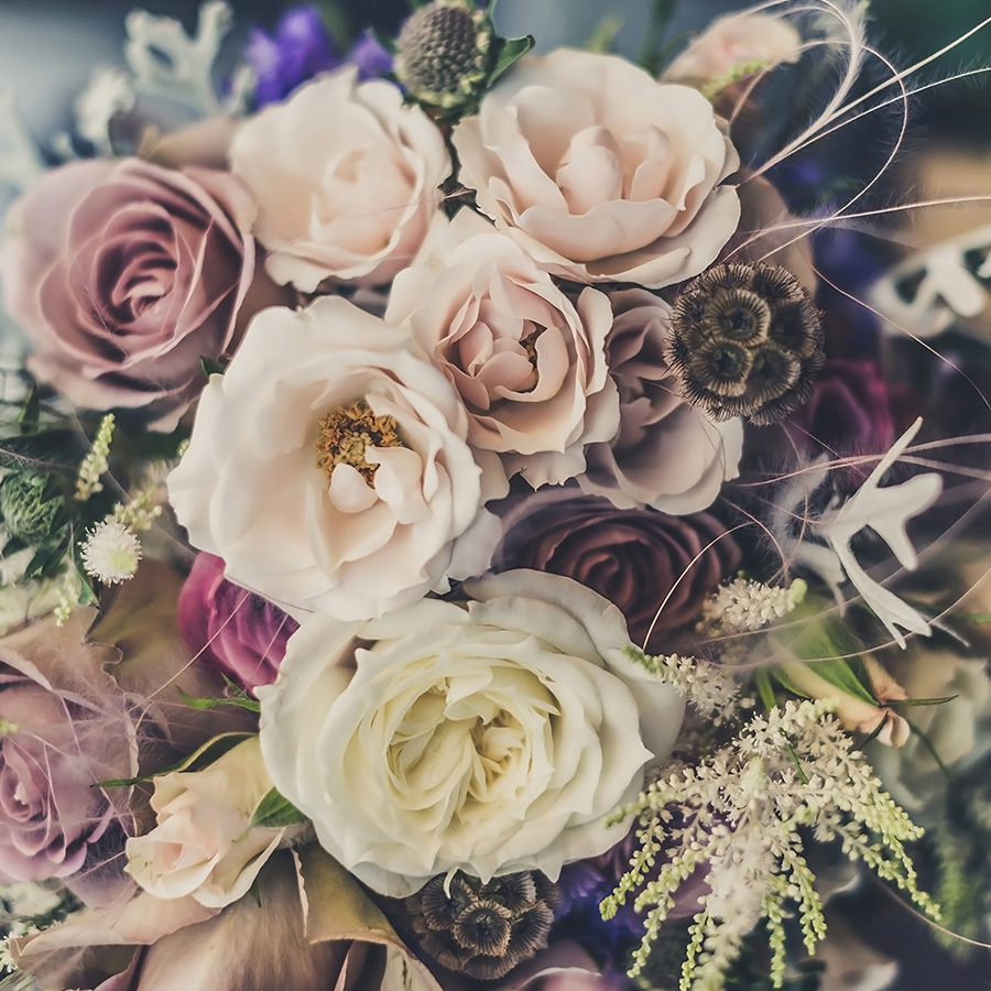 prism-range-contour-gallery_0002_E4E9658662